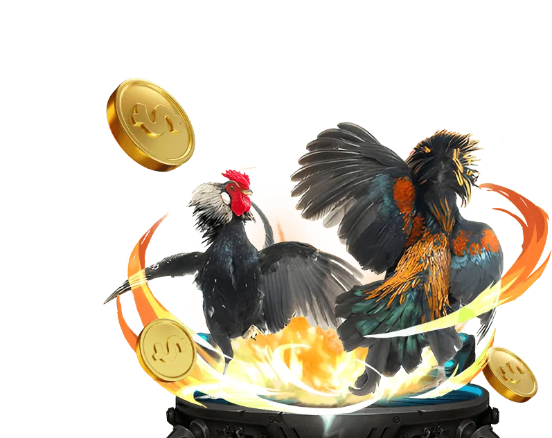 Các loại hình đá gà day8